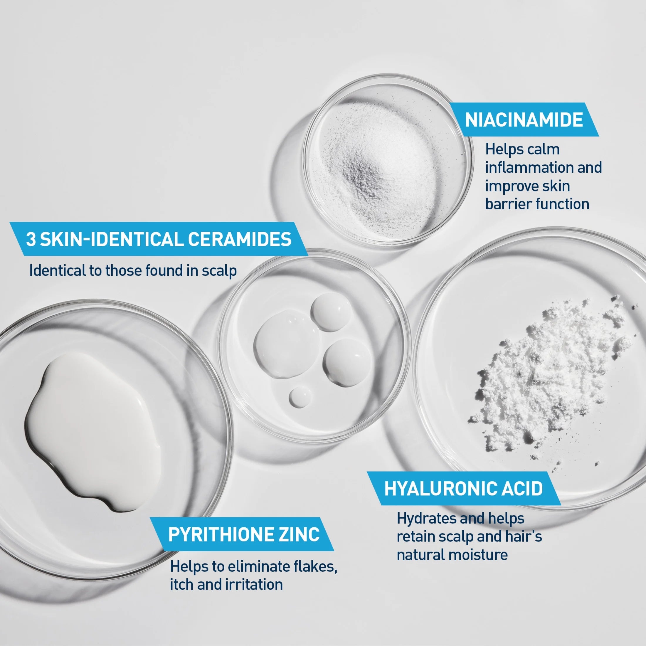 Hydrating anti Dandruff Shampoo Sulfate Free & Color Safe Itchy Scalp Treatment