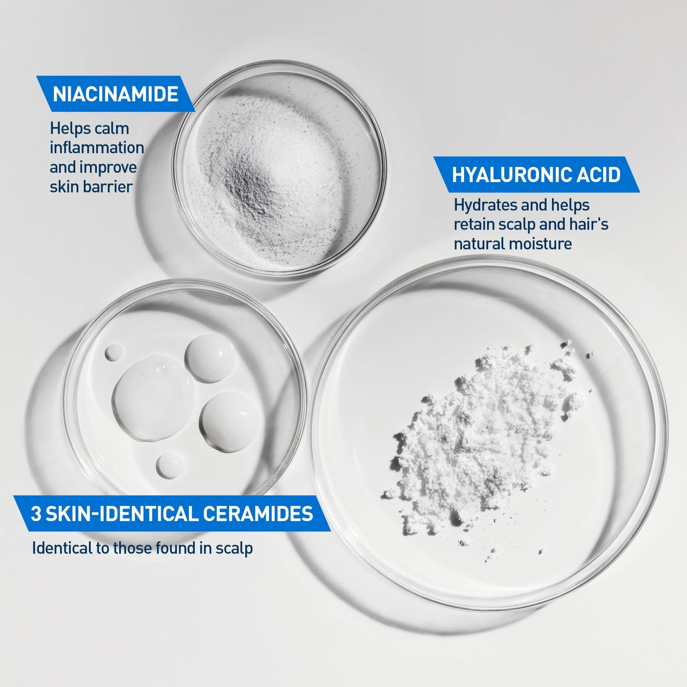 Gentle Hydrating Shampoo Sulfate Free & Color Safe for All Hair Types, 12 Fl Oz