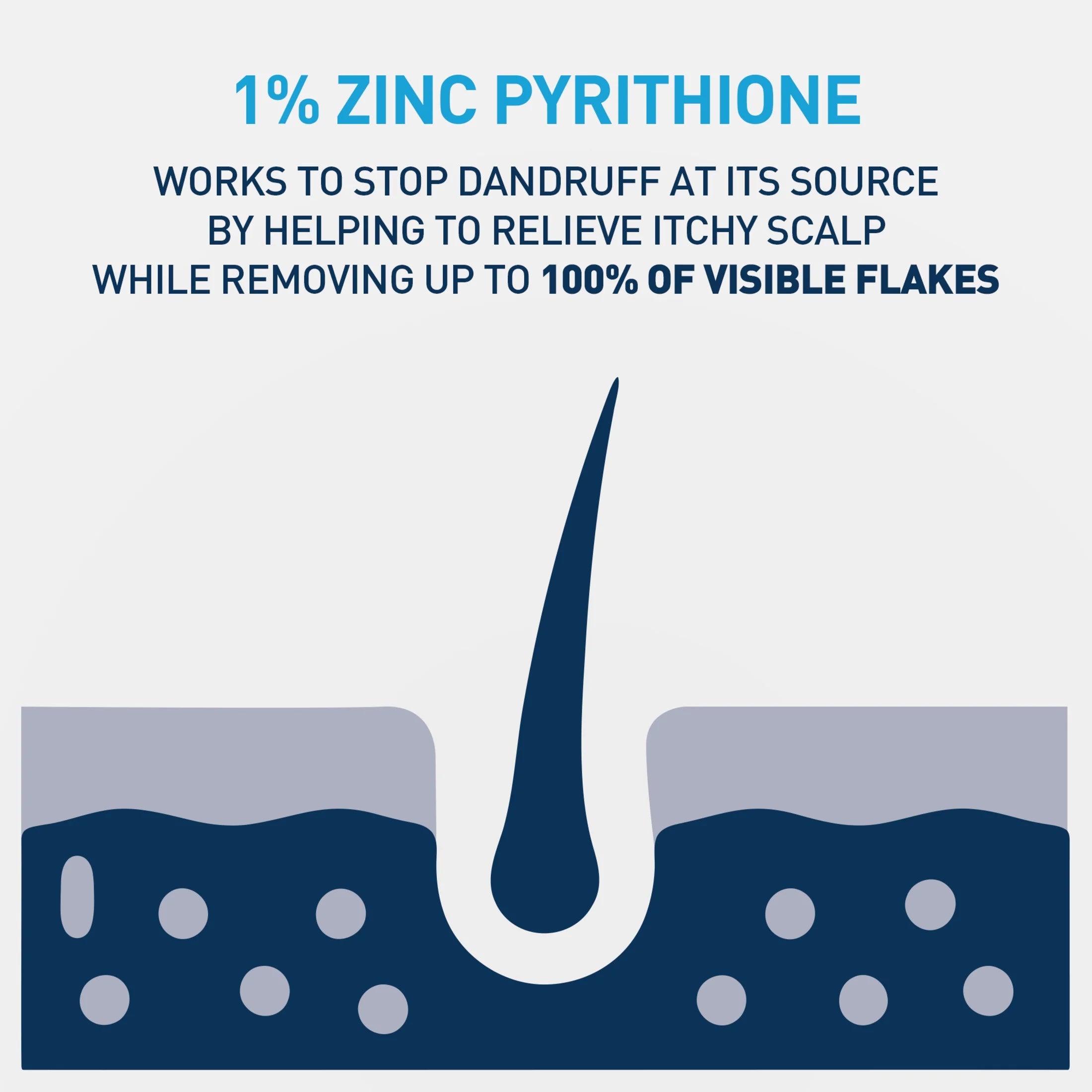 Hydrating anti Dandruff Shampoo Sulfate Free & Color Safe Itchy Scalp Treatment